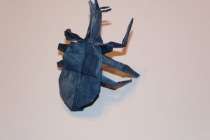 MAEKAWA - SAMURAI HELMET BEETLE (3)