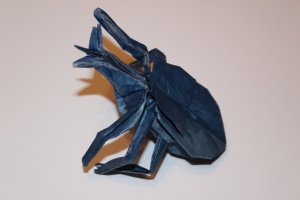 MAEKAWA - SAMURAI HELMET BEETLE (4)