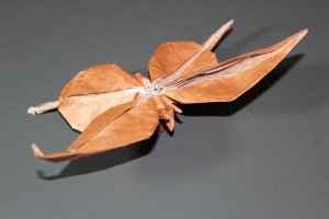 OTMCP_003 - SWALLOWTAIL BUTTERFLY - MEGURO (1)