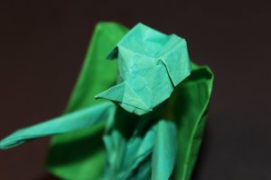 WKO_001 - KAPPA (111)