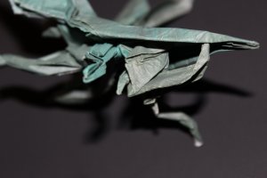 WOSK_105 - HERCULES BEETLE (2)