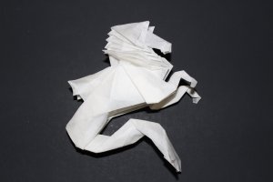 DIAZ - HIPPOCAMPUS (2)