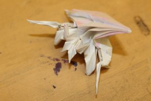 LANG - HERMIT CRAB (1)