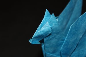 OTM_C04 - NISHIKAWA - PEGASUS (3)