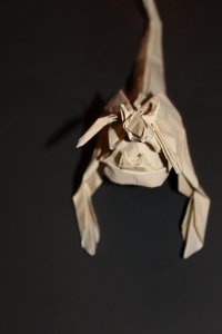 OTM_C05 - KANGAROO - OGATA (2)