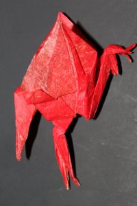 WKO_000 - PHOENIX (1)