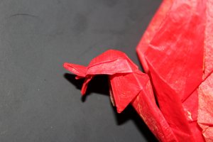 WKO_000 - PHOENIX (3)