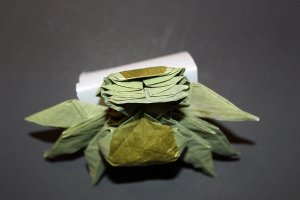 WKO_009 - OLD ONE PIXIE (5)