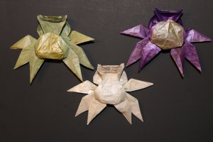 WKO_009 - OLD ONE PIXIE (7)