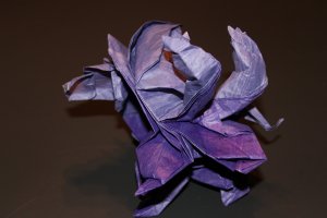 WKO_010 - KING LEO (5)