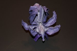 WKO_010 - KING LEO (6)