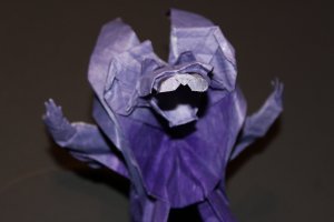 WKO_010 - KING LEO (7)