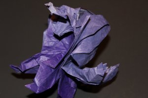 WKO_010 - KING LEO (9)