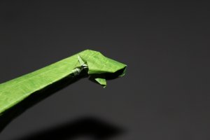 WOSK_110 - BAROSAURUS (3)