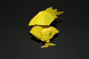 WOSK_112 - YELLOW BIRD (2)