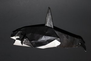 WOSK_115 - ORCA (1)