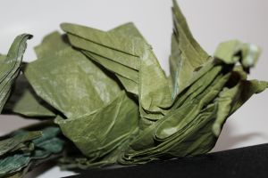 CHAN - ATTACK OF THE KRAKEN (106)