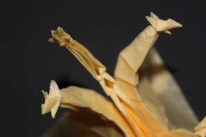 KOZASA - GIDRA (110)