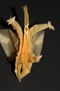 KOZASA - GIDRA (111)