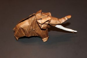 WOSK_119 - MAMMUTHUS PRIMIGENIUS (5)