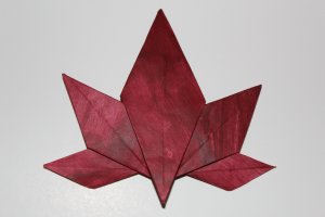 WOSK_201 - JAPANESE MAPLE LEAF (1)