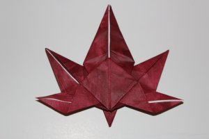 WOSK_201 - JAPANESE MAPLE LEAF (2)