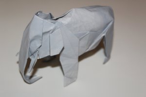 WOSK_203 - ASIATIC ELEPHANT (1)