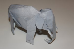 WOSK_203 - ASIATIC ELEPHANT (2)