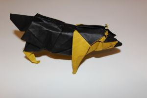 WOSK_204 - RACCOON DOG (2)