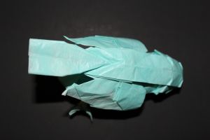 WOSK_206 - LITTLE BIRD (6)