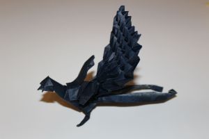 WOSK_207 - LYREBIRD (3)