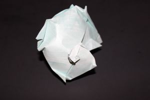 WOSK_208 - TURBAN SHELL (1)