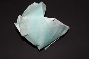 WOSK_208 - TURBAN SHELL (3)