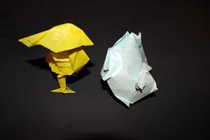 WOSK_208 - TURBAN SHELL (4)