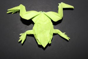 WOSK_210 - TREE FROG (2)