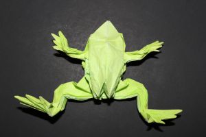 WOSK_210 - TREE FROG (3)
