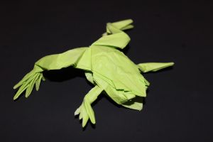 WOSK_210 - TREE FROG (5)