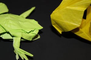 WOSK_210 - TREE FROG (9)