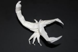 WKO_015 - SCORPION (103)