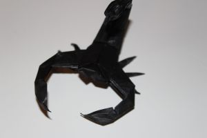 WKO_015 - SCORPION (108)