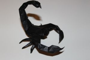 WKO_015 - SCORPION (110)