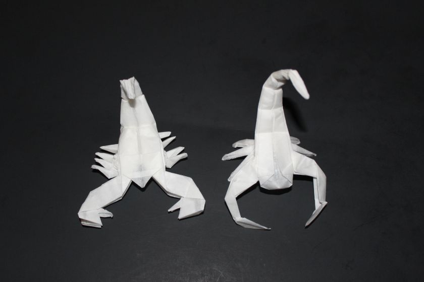 WKO_015 - SCORPION (201)