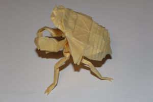 WOSK_211 - CICADA NYMPH (2)