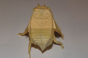 WOSK_211 - CICADA NYMPH (5)