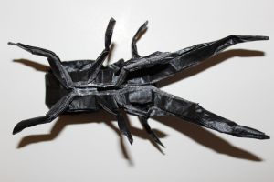 WOSK_212 - CYCLOMMATUS METALLIFER (3)