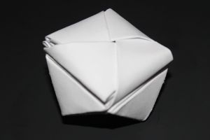 OTMCP_016 - KING POLYPOUCHES - PALMER (105)