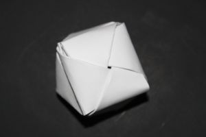 OTMCP_016 - KING POLYPOUCHES - PALMER (106)