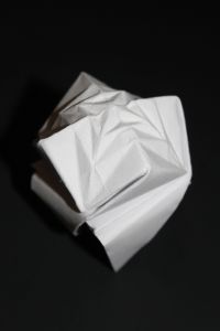 OTMCP_016 - KING POLYPOUCHES - PALMER (112)