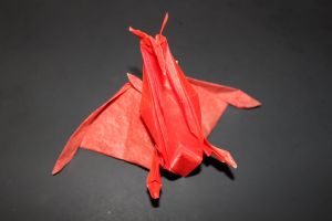 SASADE - RADON (102)