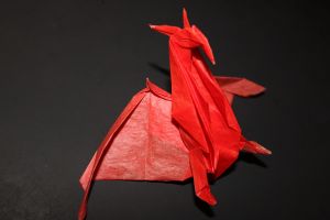 SASADE - RADON (103)